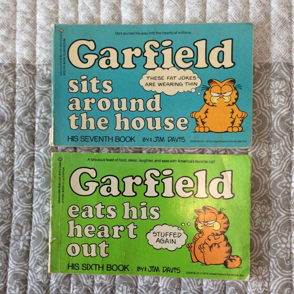 - 2 books of Garfield